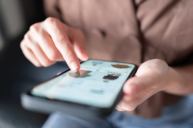 le comportement d'achat en ligne